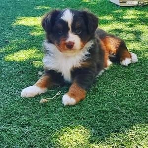 Meet your Posher, Erica